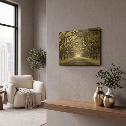 'Wormsloe Inf Light' By Mike Jones Gold Metal Wall Art