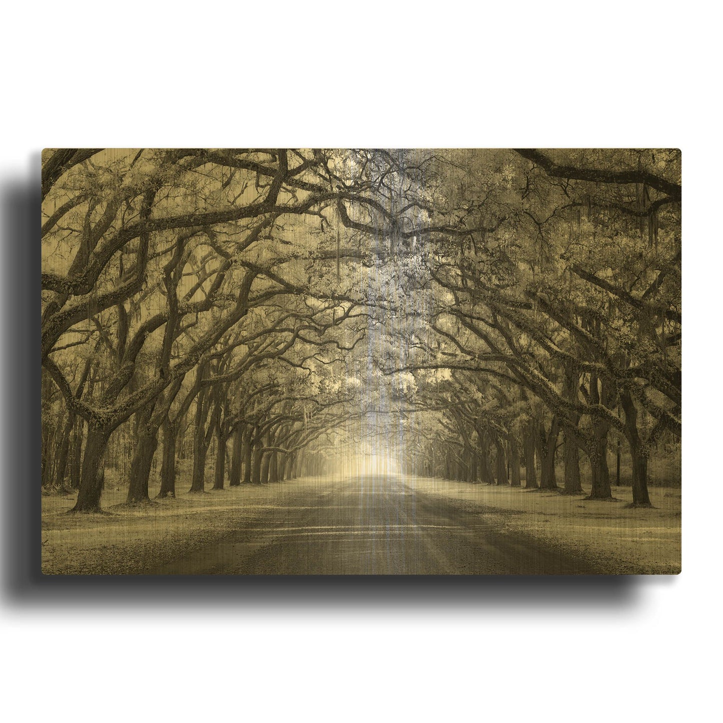 'Wormsloe Inf Light' By Mike Jones Gold Metal Wall Art
