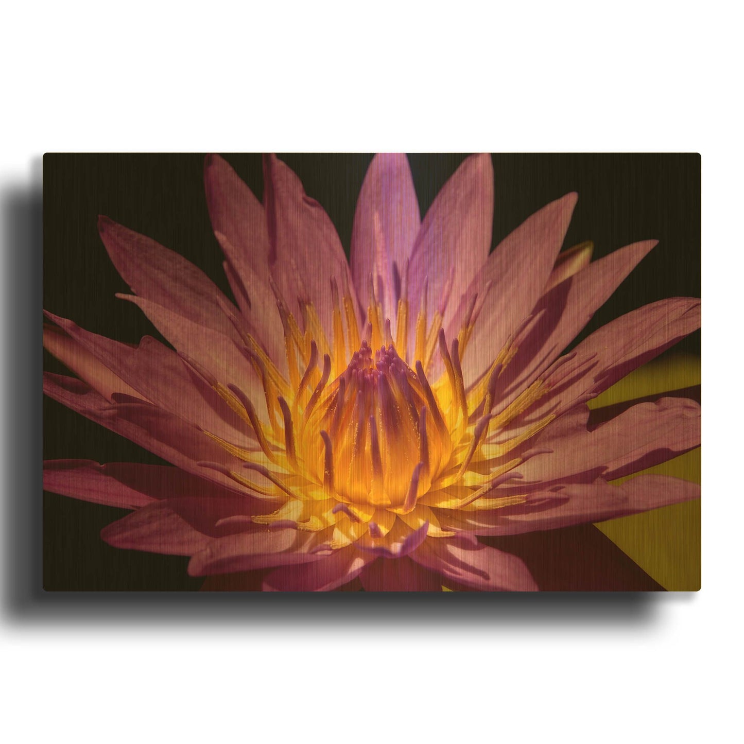 'Fairchild Gardens Lily' By Mike Jones Gold Metal Wall Art