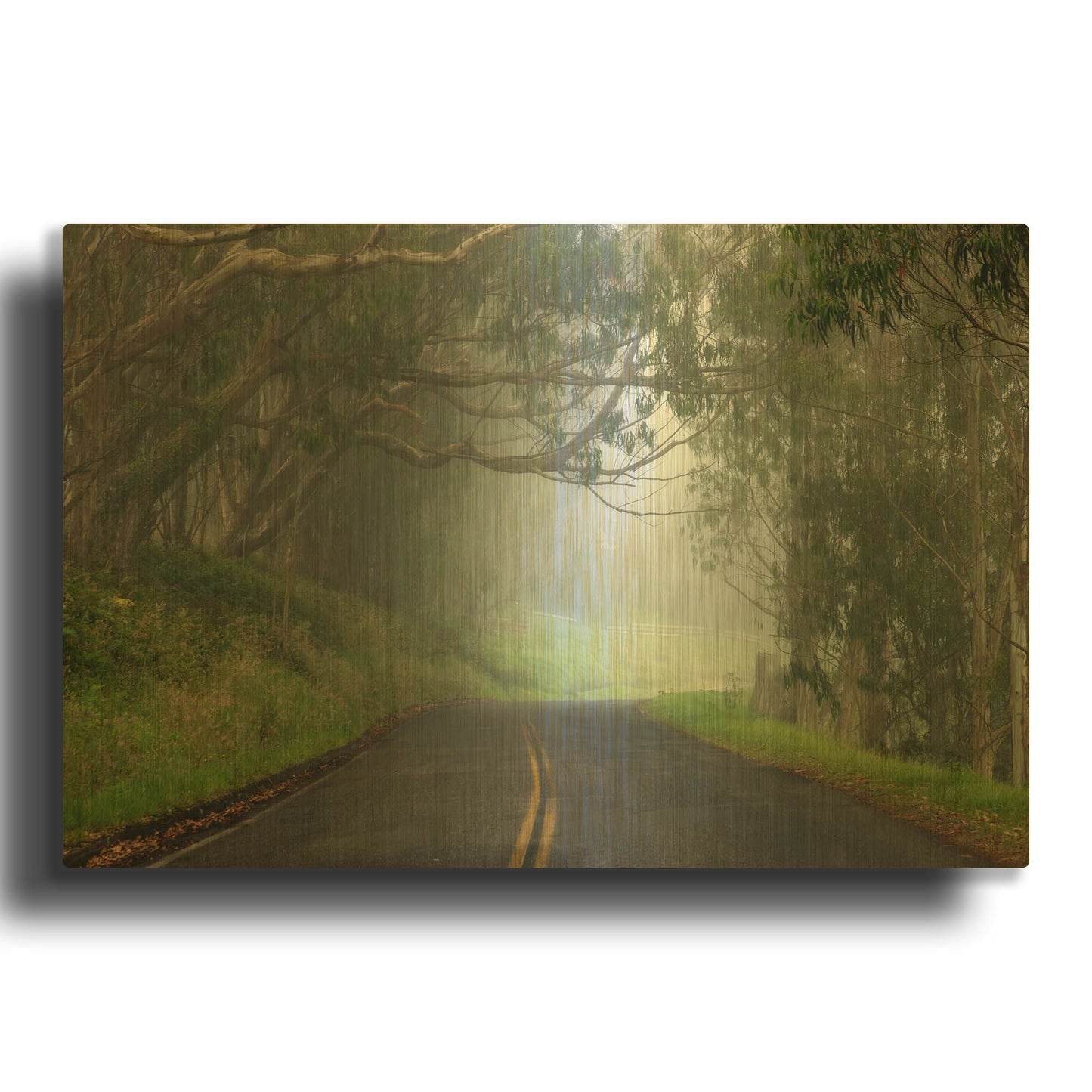 'Foggy Road near Dillon Beach' By Mike Jones Gold Metal Wall Art