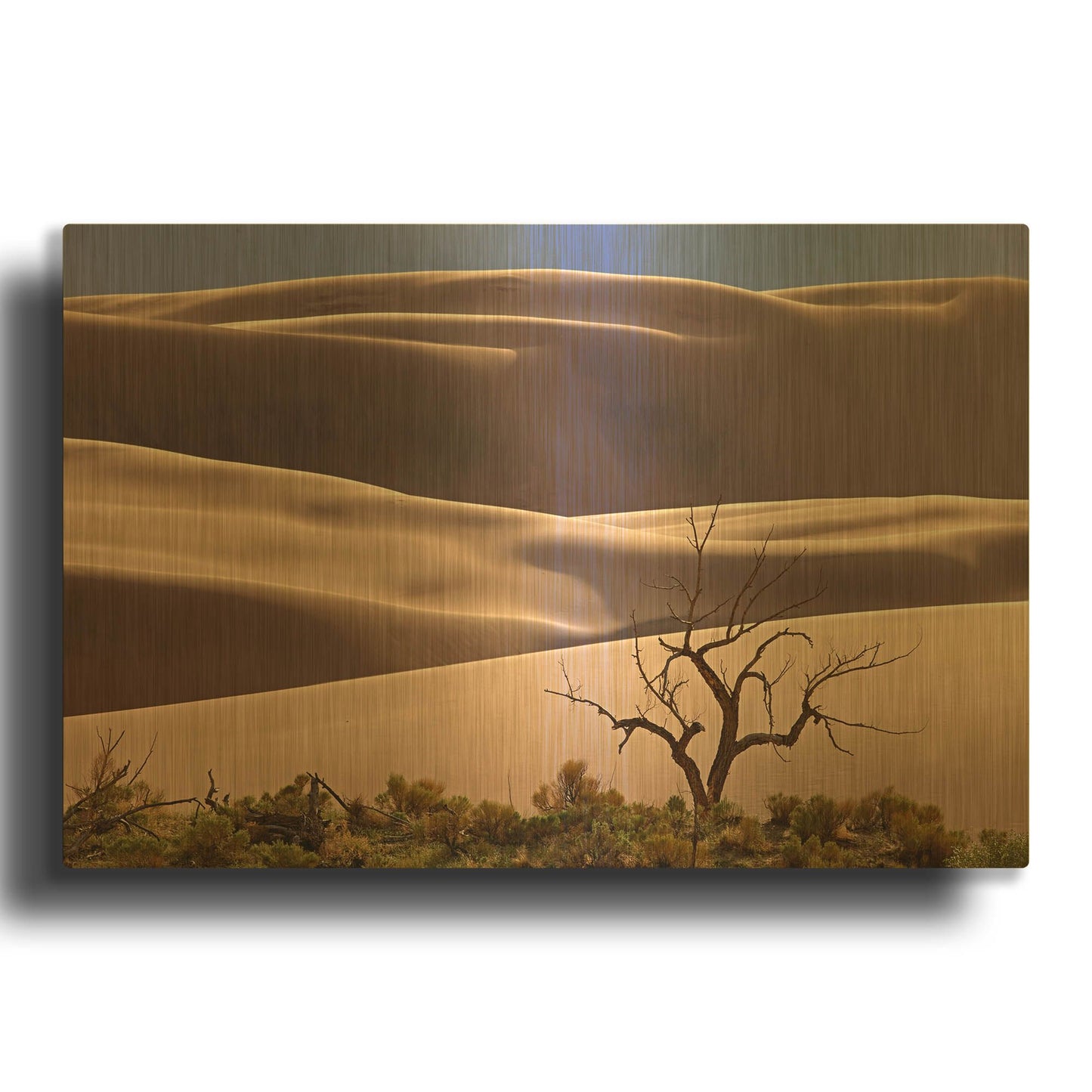 'Great Sand Dunes NP Tree' By Mike Jones Gold Metal Wall Art
