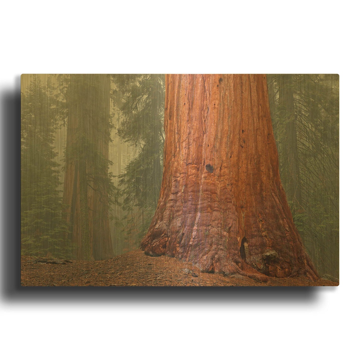 'Kings Canyon' By Mike Jones Gold Metal Wall Art