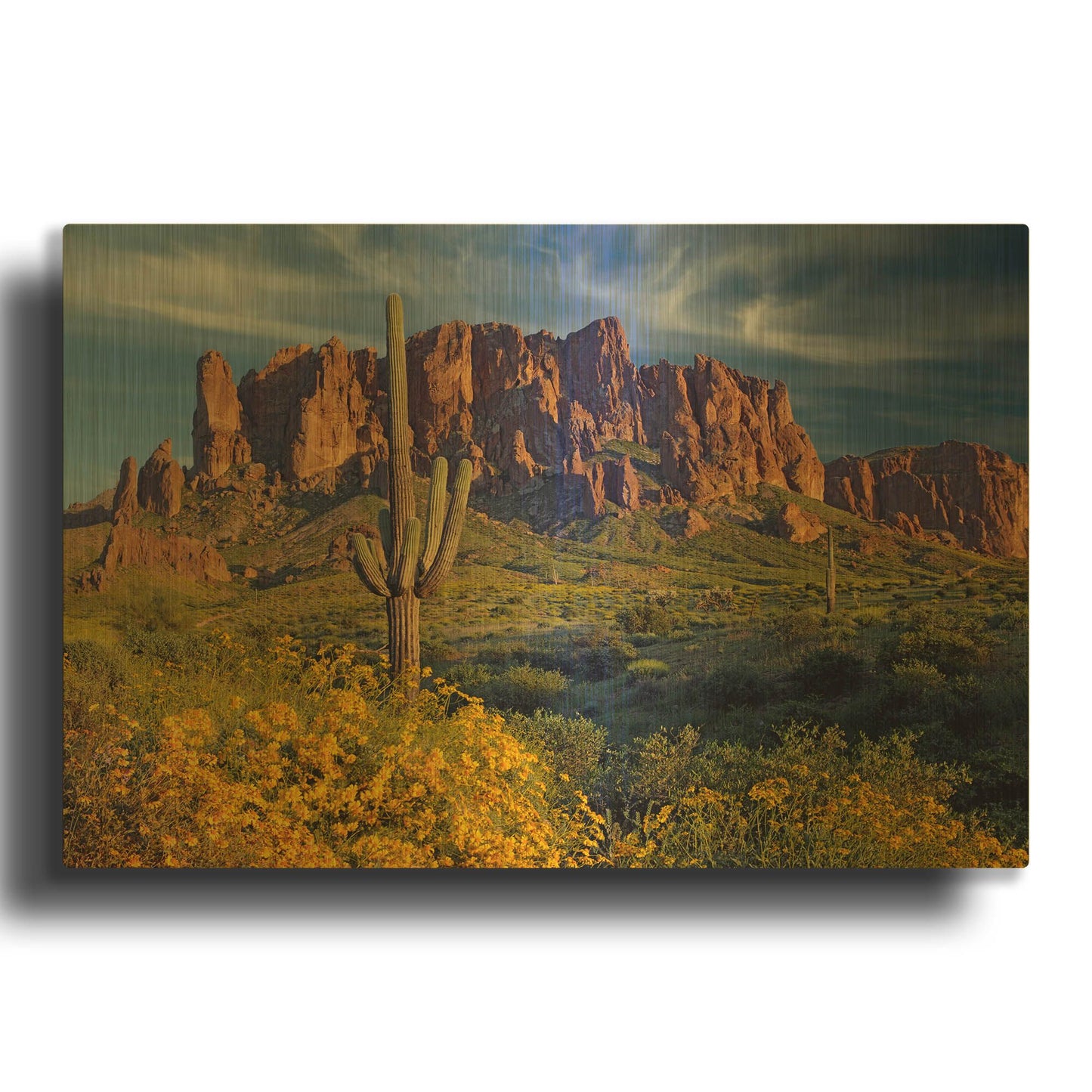 'Lost Dutchman flowers' By Mike Jones Gold Metal Wall Art