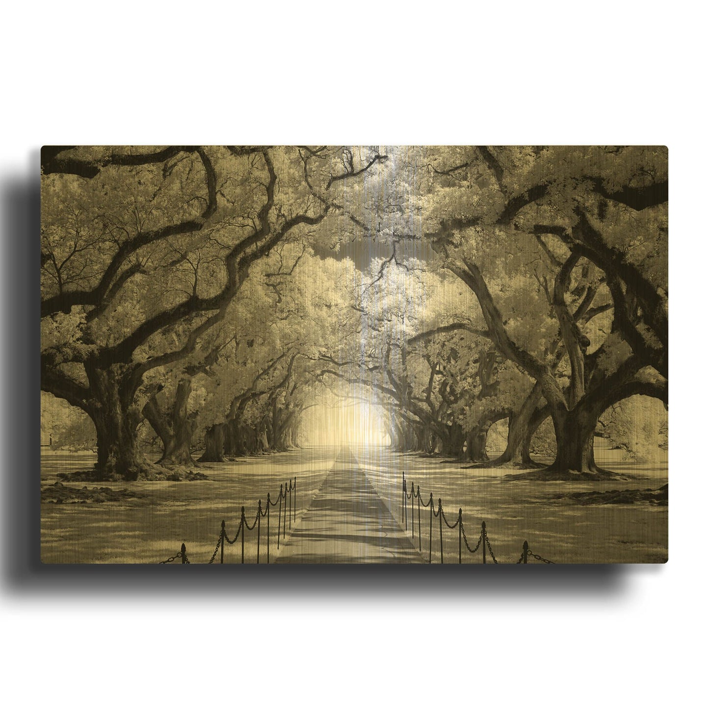 'Oak Alley inf CHECK' By Mike Jones Gold Metal Wall Art