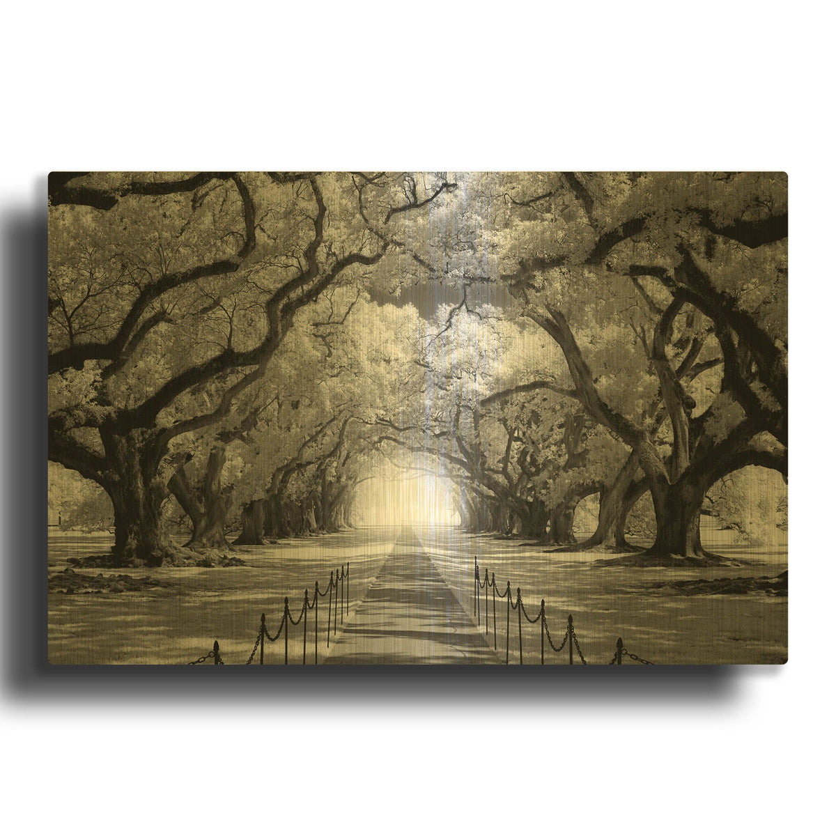 'Oak Alley inf CHECK' By Mike Jones Gold Metal Wall Art