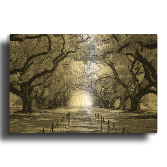 'Oak Alley inf CHECK' By Mike Jones Gold Metal Wall Art