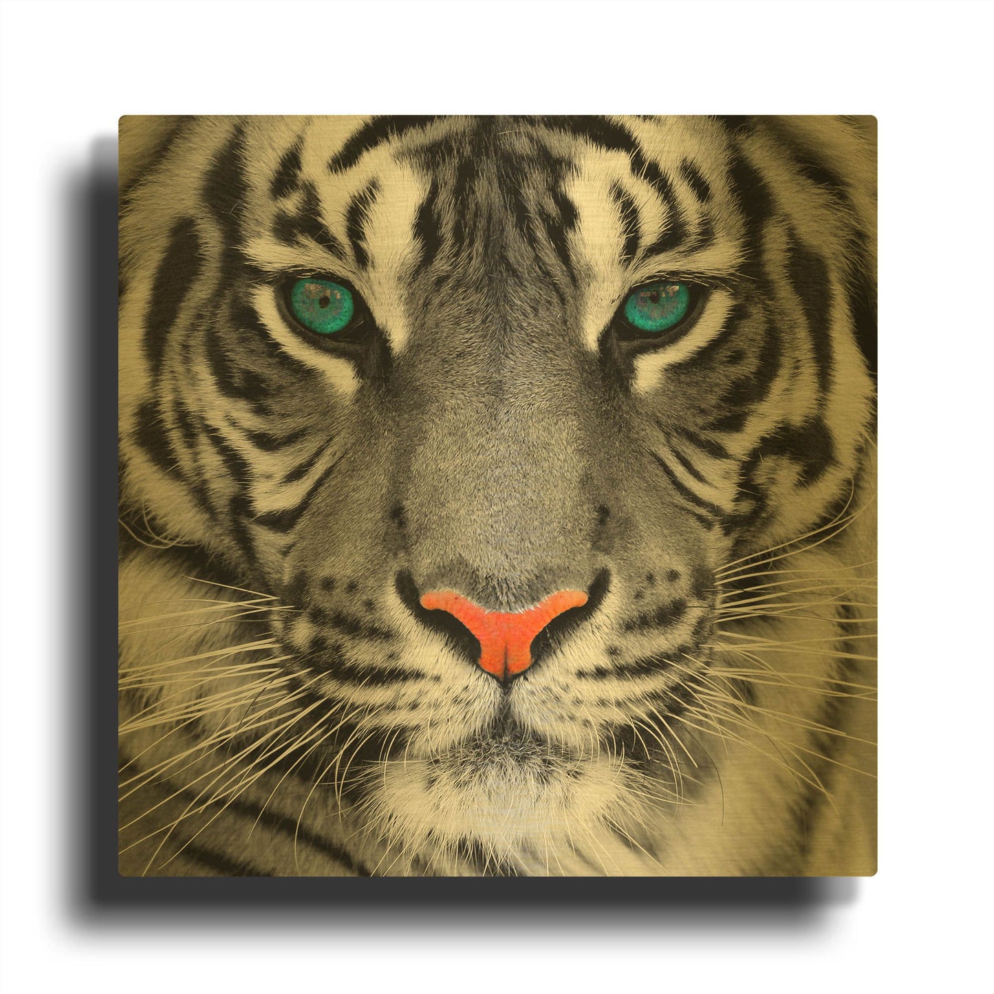 'Thrill of the Tiger' By LUXE Gold Metal Wall Art