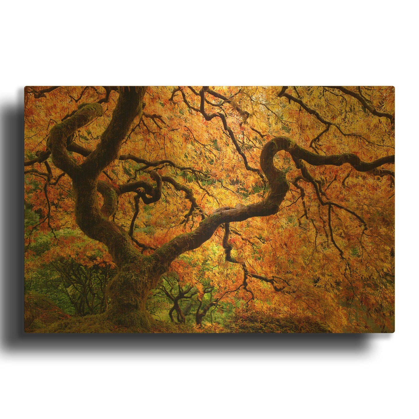 'Portland Japanese Garden' By Mike Jones Gold Metal Wall Art