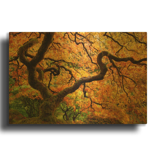 'Portland Japanese Garden' By Mike Jones Gold Metal Wall Art