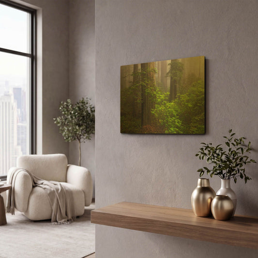 'Redwoods Fog' By Mike Jones Gold Metal Wall Art