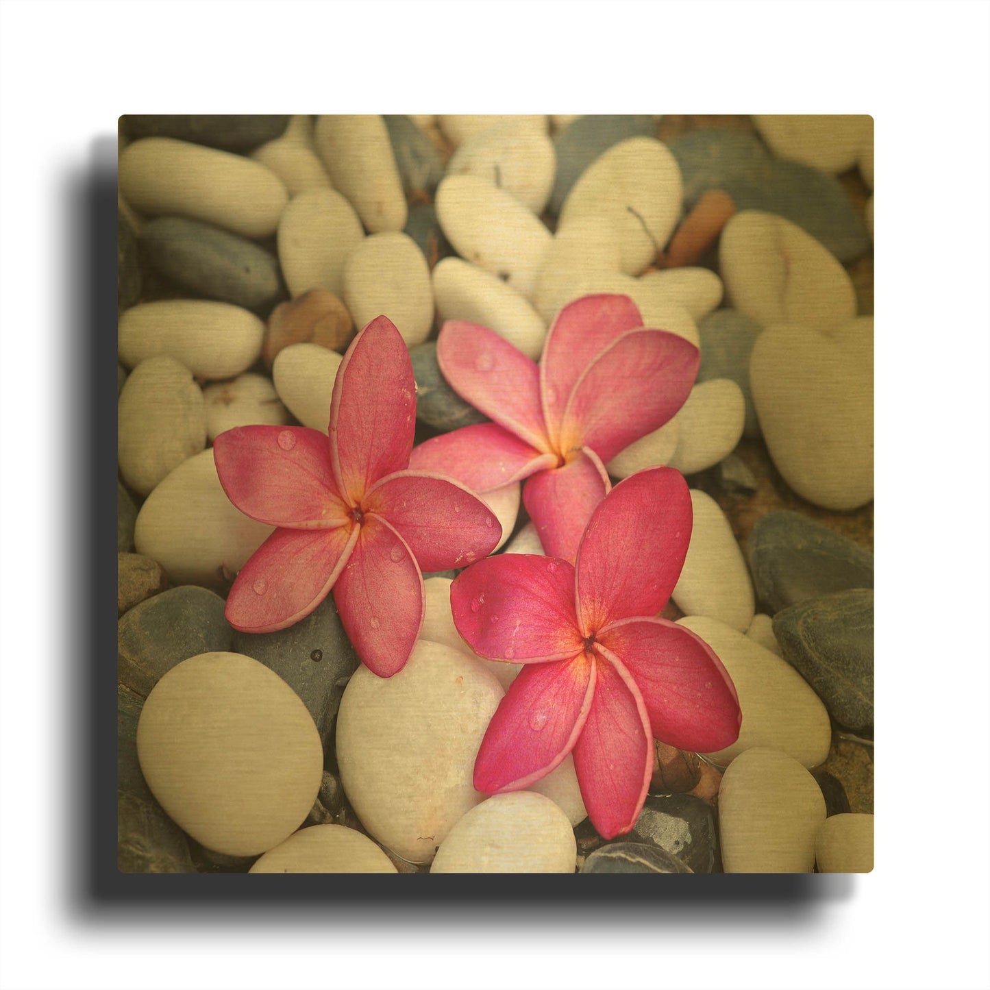 'Shintai II' By LUXE Gold Metal Wall Art