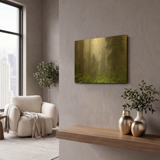 'Redwoods NP Fog' By Mike Jones Gold Metal Wall Art