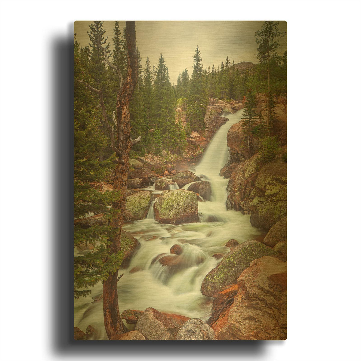 'Alberta Falls - Rocky Mountain National Park' By Darren White Gold Metal Wall Art