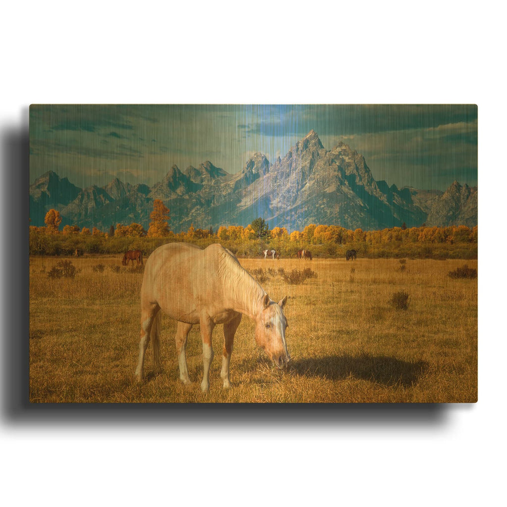'Breakfast in the Tetons - Grand Teton National Park' By Darren White Gold Metal Wall Art