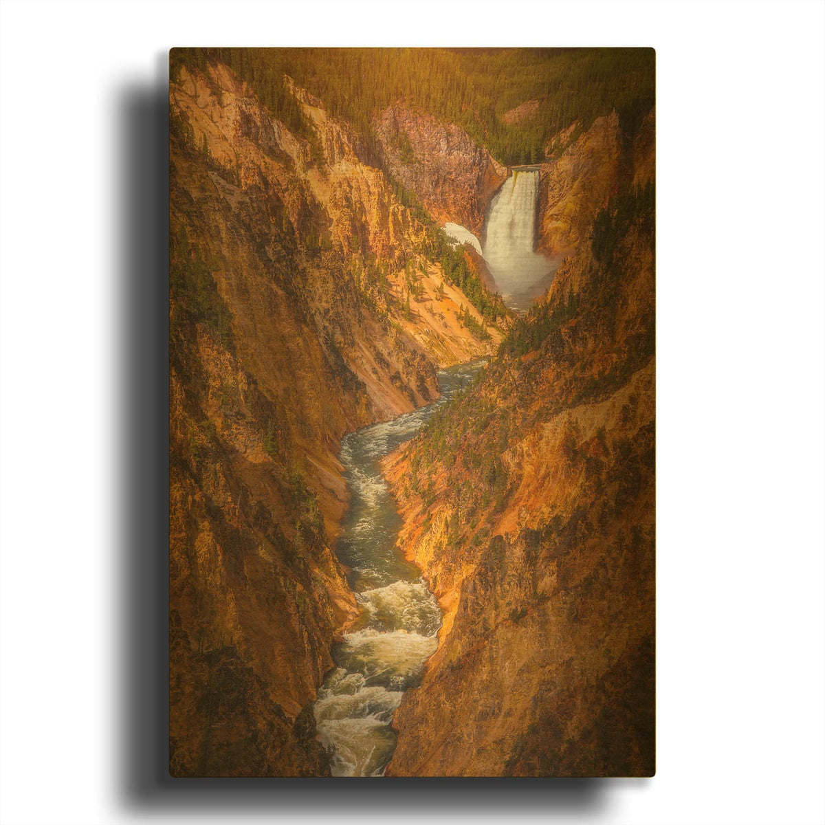 'Golden Falls of Yellowstone - Yellowstone National Park' By Darren White Gold Metal Wall Art