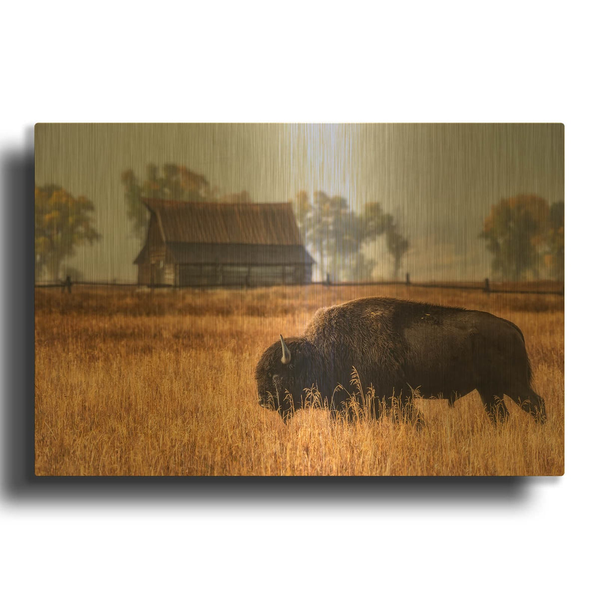 'Home on the Range - Grand Teton National Park' By Darren White Gold Metal Wall Art