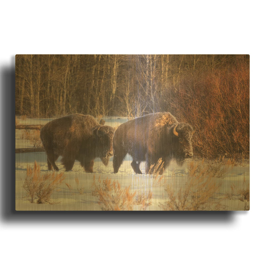 'Let' By Darren White Gold Metal Wall Art