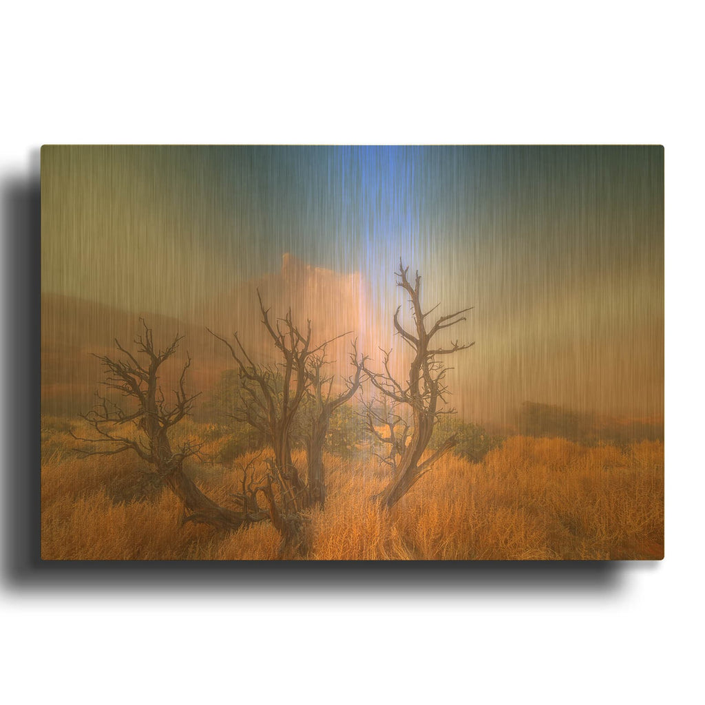 'Mystic Wonders' By Darren White Gold Metal Wall Art