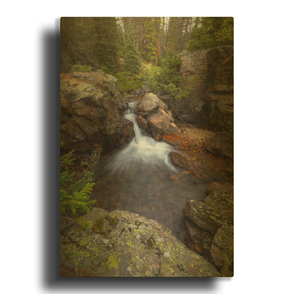 'Stream of Solitude - Rocky Mountain National Park' By Darren White Gold Metal Wall Art