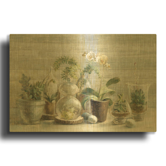 'Greenhouse Orchids on Wood' By Danhui Nai Gold Metal Wall Art