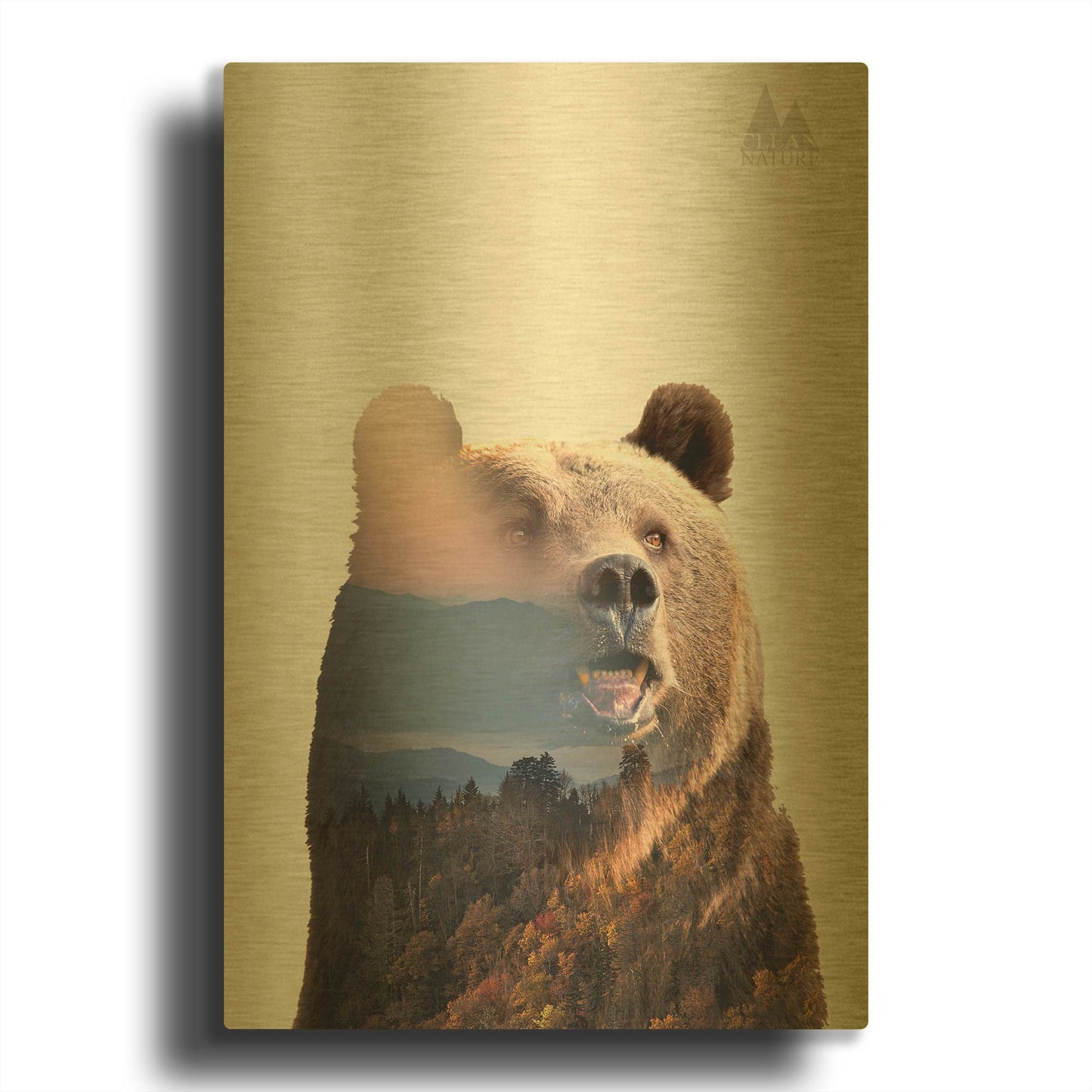 'Bear' By Clean Nature Gold Metal Wall Art