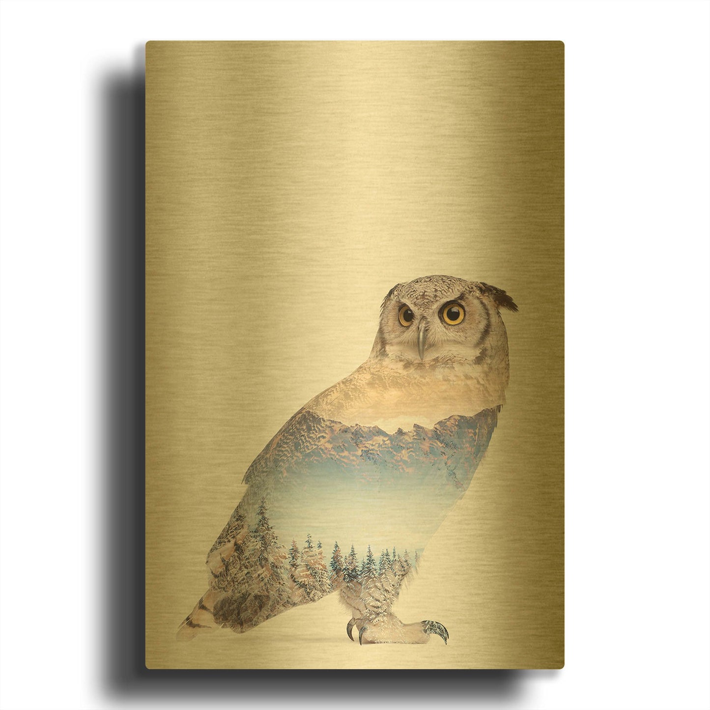 'Snow Owl I' By Clean Nature Gold Metal Wall Art