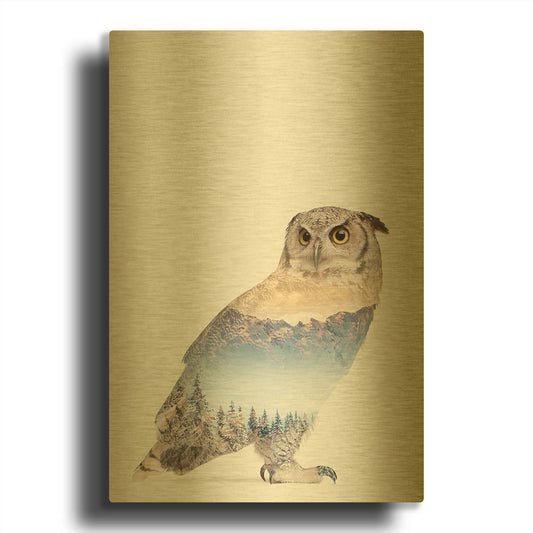 'Snow Owl I' By Clean Nature Gold Metal Wall Art