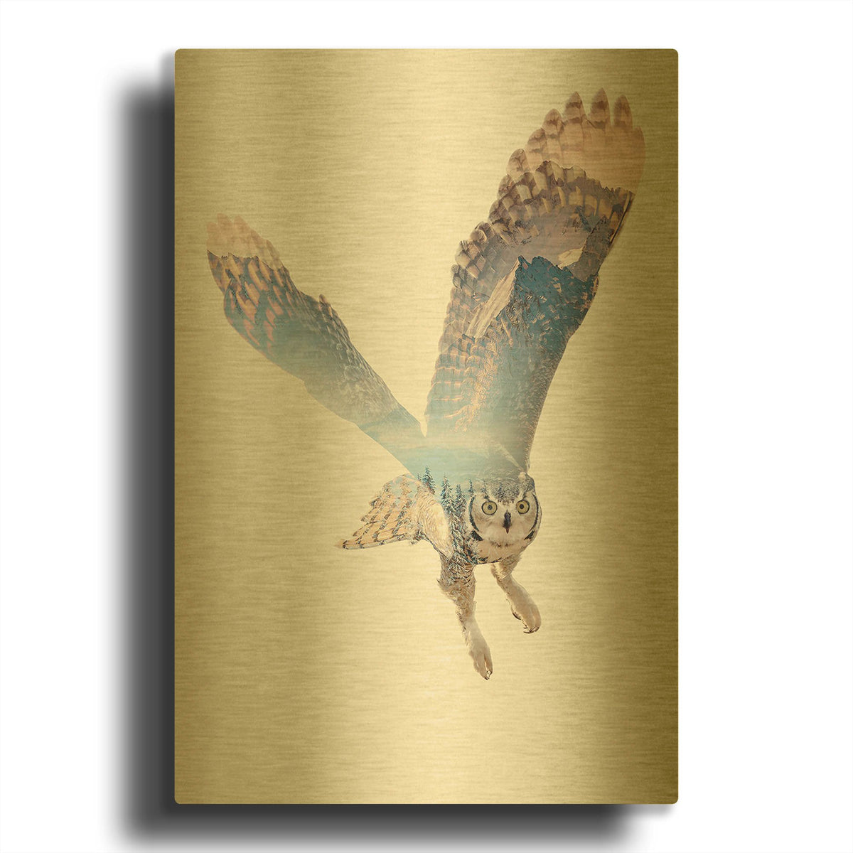 'Snow Owl II' By Clean Nature Gold Metal Wall Art