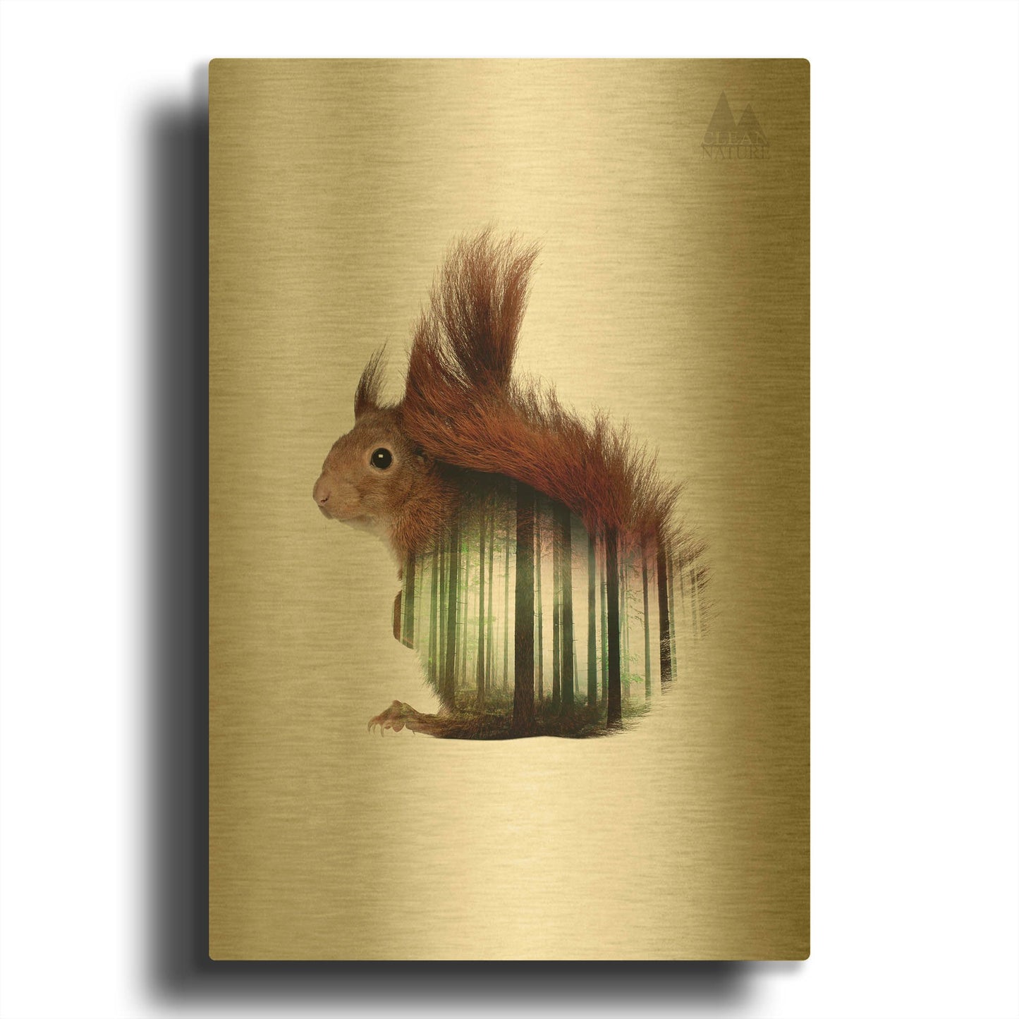 'Squirrel' By Clean Nature Gold Metal Wall Art