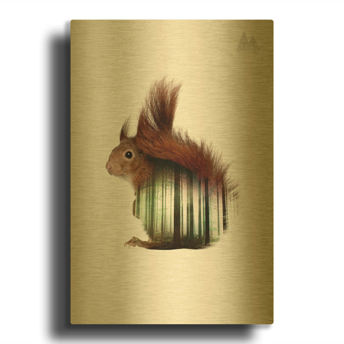 'Squirrel' By Clean Nature Gold Metal Wall Art