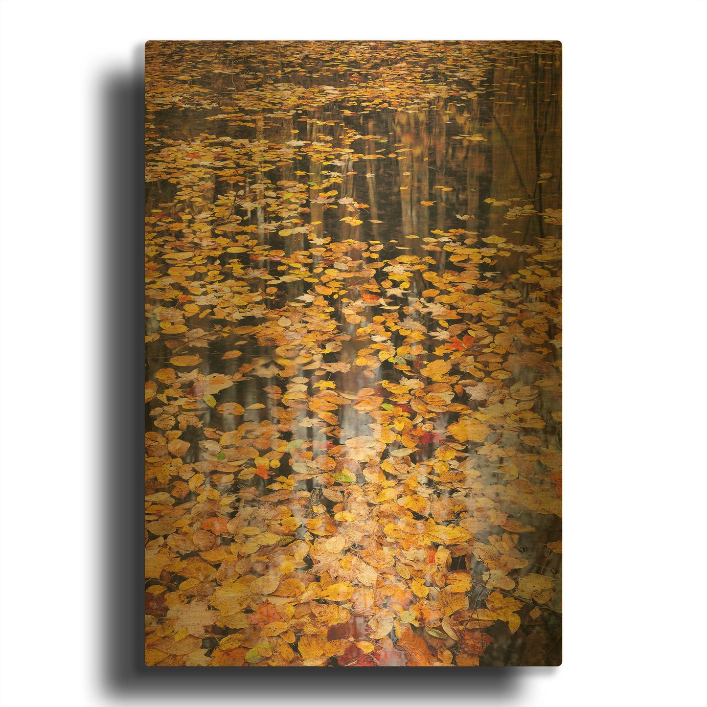 'Autumn Detail' By John Gavrilis Gold Metal Wall Art