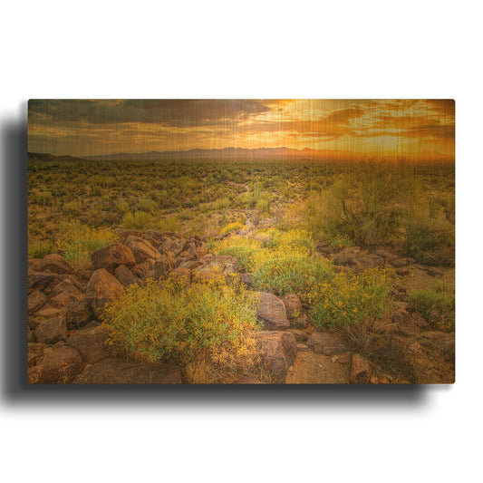 'Brittlebush Sunset' By John Gavrilis Gold Metal Wall Art
