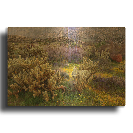 'Desert Cactus and Wildflowers' By John Gavrilis Gold Metal Wall Art