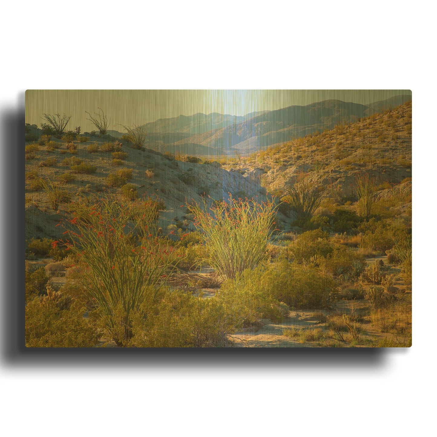 'Desert Ocotillo Landscape' By John Gavrilis Gold Metal Wall Art