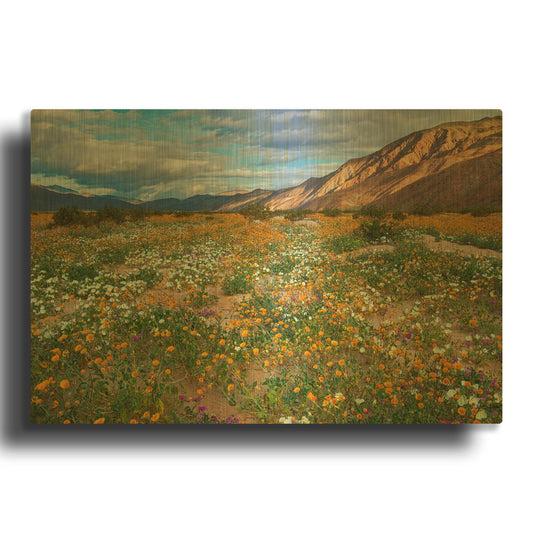 'Desert Wildflowers in Henderson Canyon' By John Gavrilis Gold Metal Wall Art
