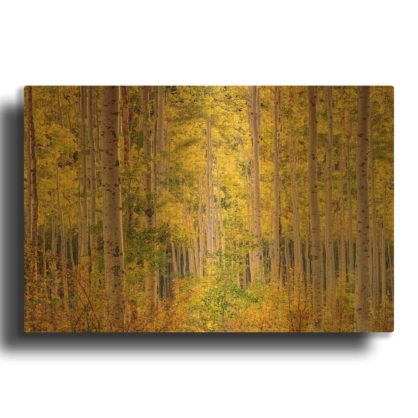 'Independence Pass' By John Gavrilis Gold Metal Wall Art