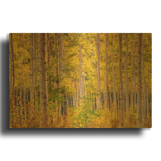 'Independence Pass' By John Gavrilis Gold Metal Wall Art