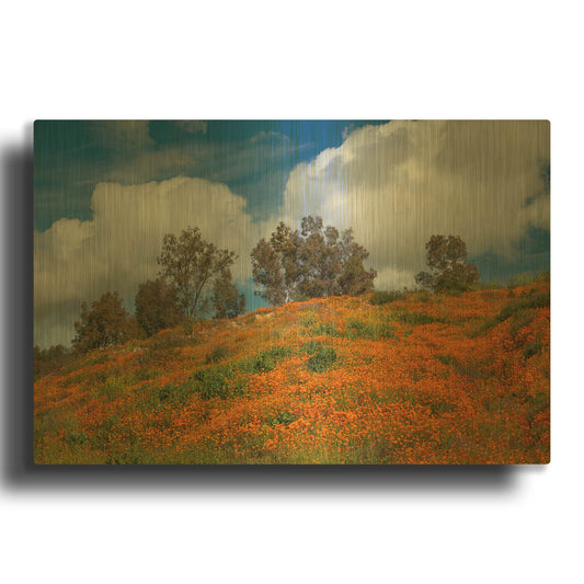 'Poppies, Trees & Clouds' By John Gavrilis Gold Metal Wall Art