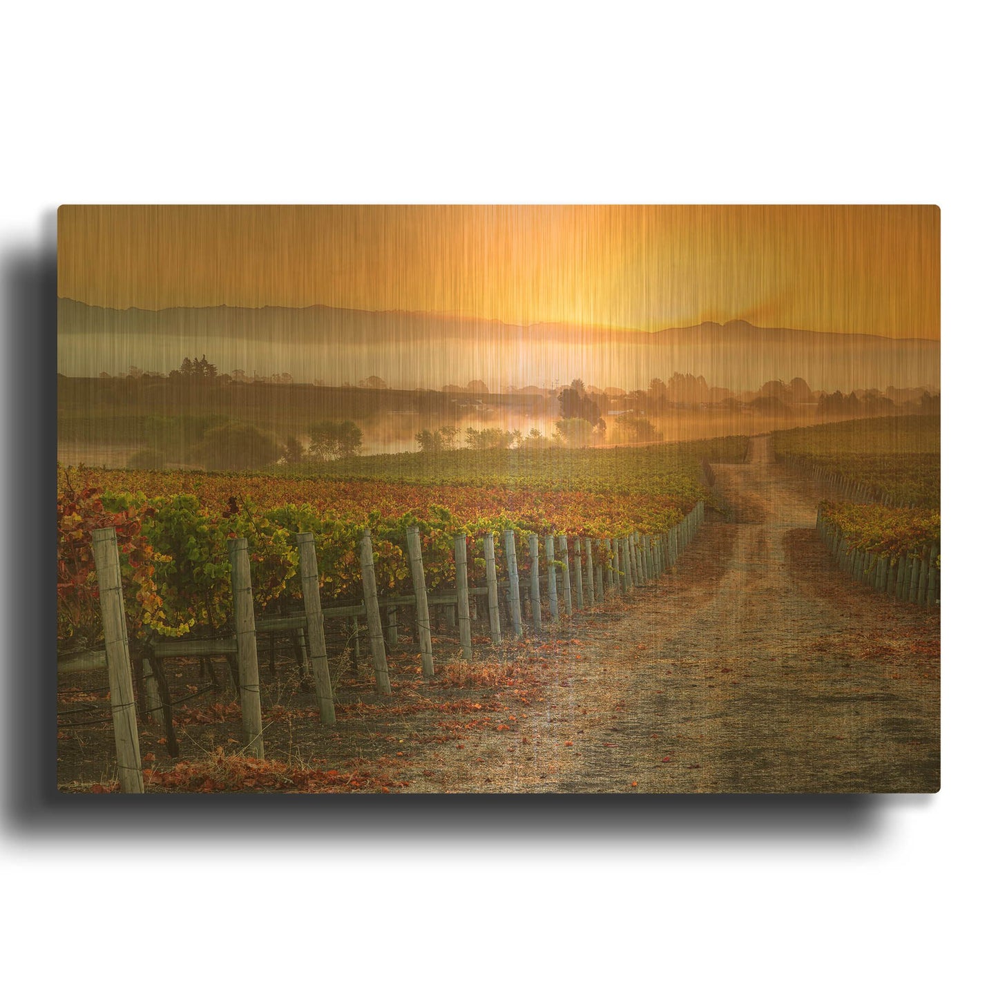 'Vineyard Sunrise' By John Gavrilis Gold Metal Wall Art