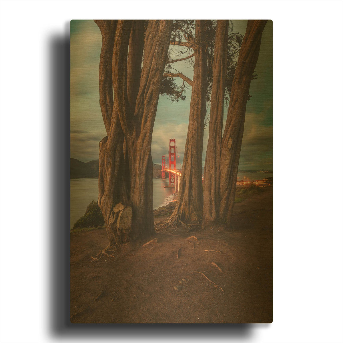 'Between the Trees' By Bruce Getty Gold Metal Wall Art
