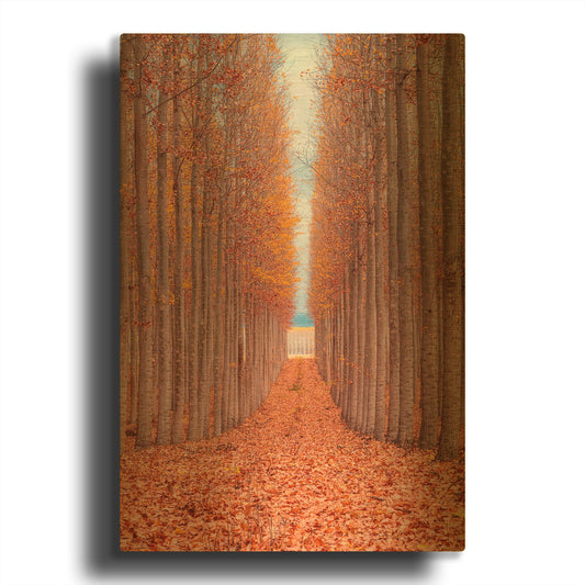 'Tree Farm' By Bruce Getty Gold Metal Wall Art