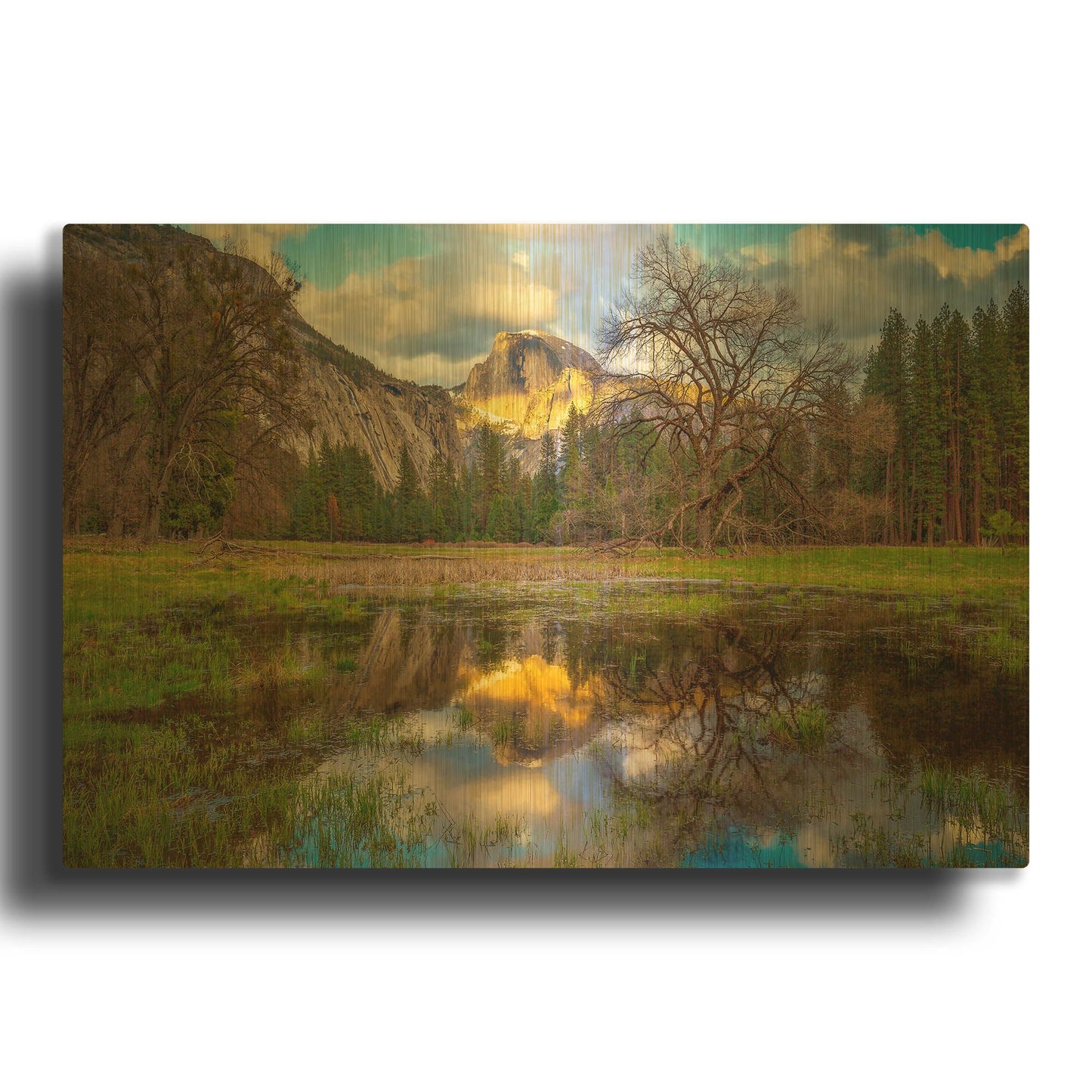 'A Mother’s Tree' By Ann Gordon Gold Metal Wall Art