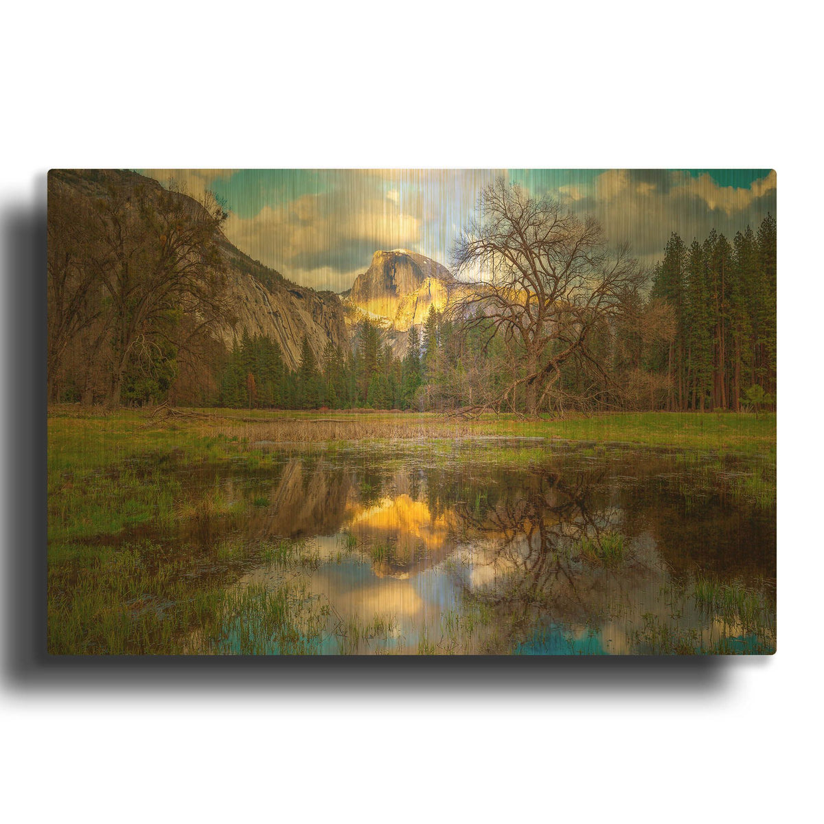 'A Mother’s Tree' By Ann Gordon Gold Metal Wall Art