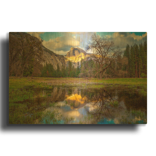 'A Mother’s Tree' By Ann Gordon Gold Metal Wall Art