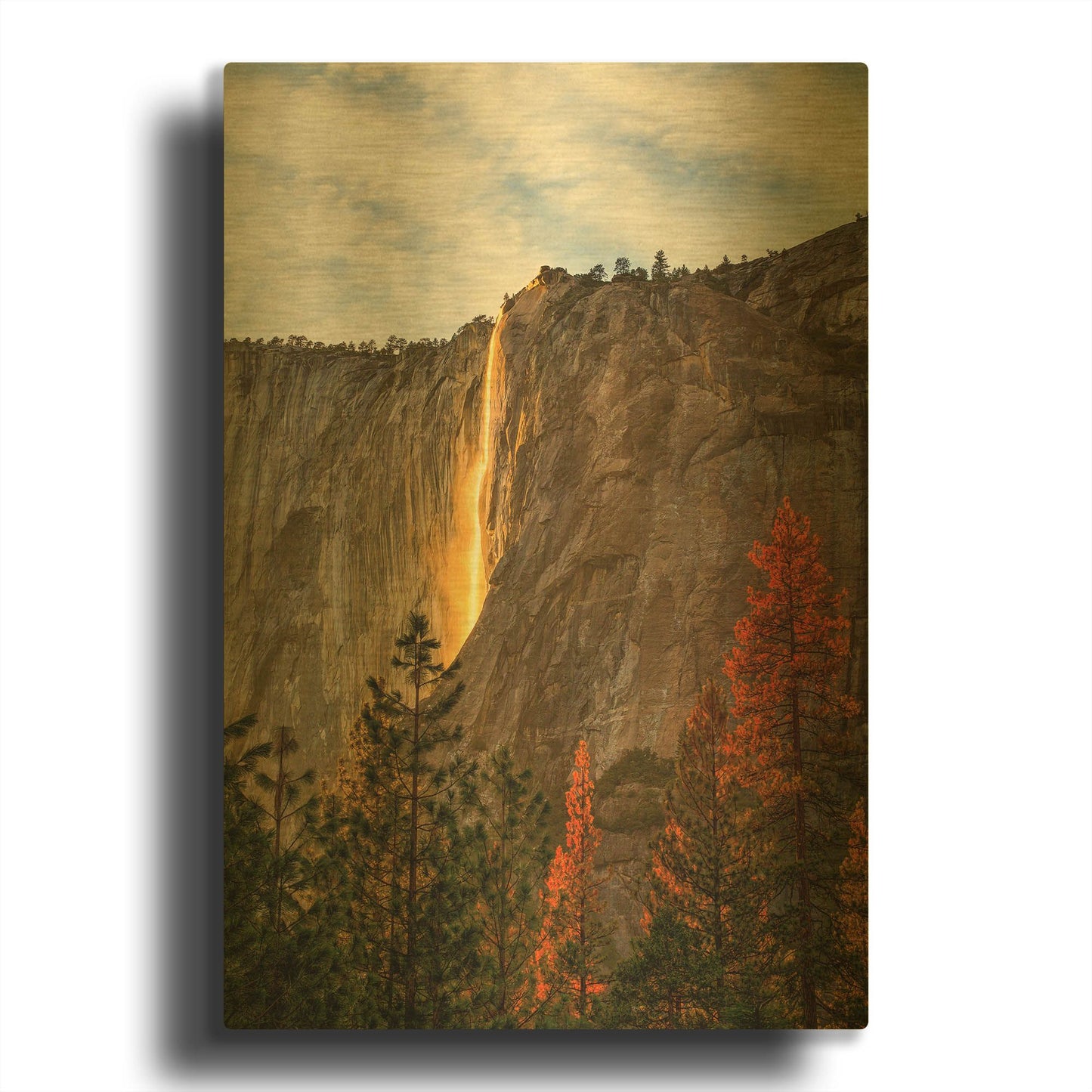'The Lost Fire' By Ann Gordon Gold Metal Wall Art