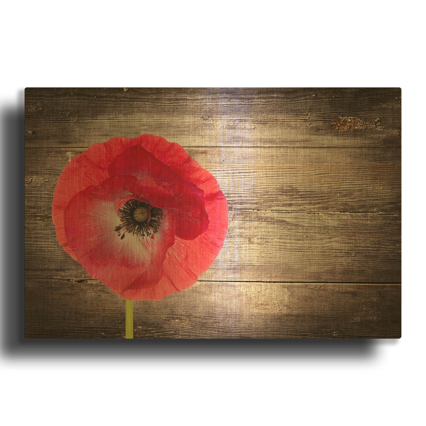 'Luxury On Rustic' By LUXE Gold Metal Wall Art