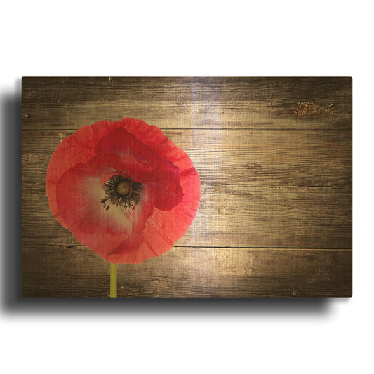 'Luxury On Rustic' By LUXE Gold Metal Wall Art