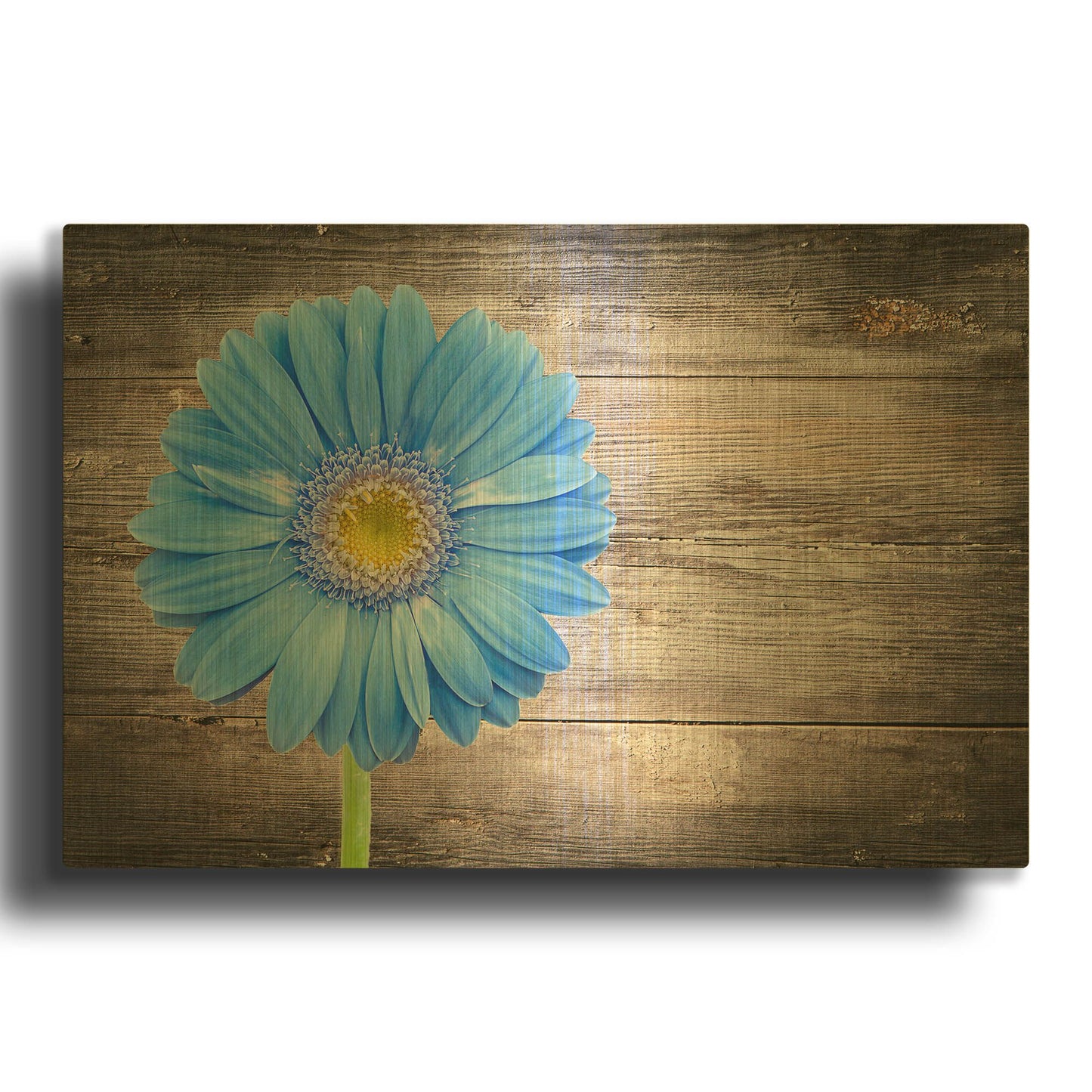 'Serenity' By LUXE Gold Metal Wall Art