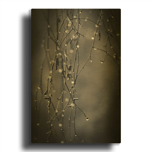 'Bare Branches 2017' By Gary Horsfall Gold Metal Wall Art