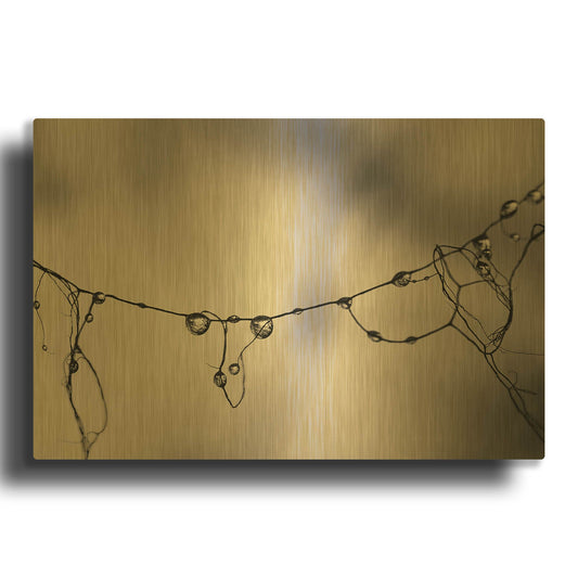 'Moss 2017' By Gary Horsfall Gold Metal Wall Art